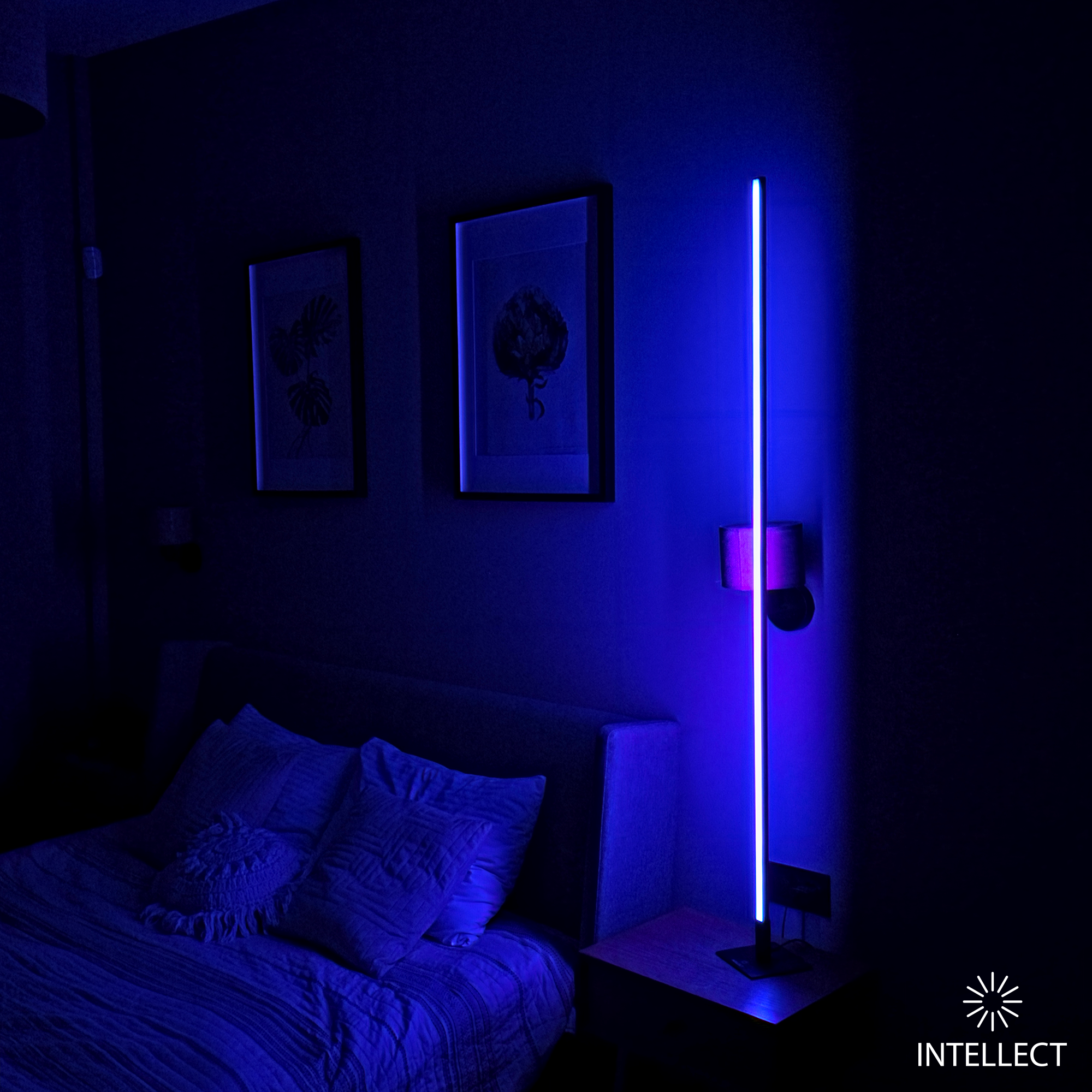 Square RGB PRO Large 145cm