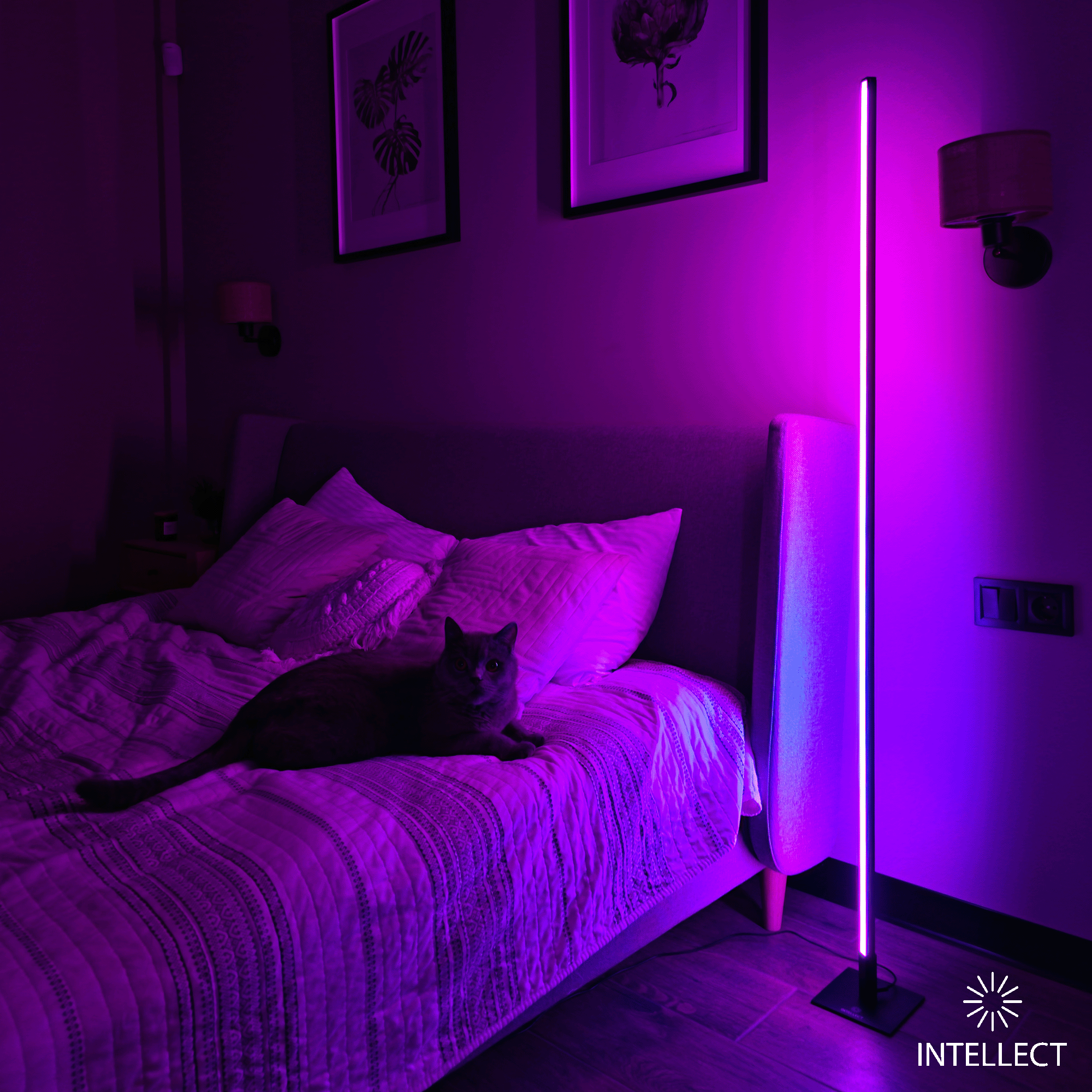 Square RGB PRO Large 145cm